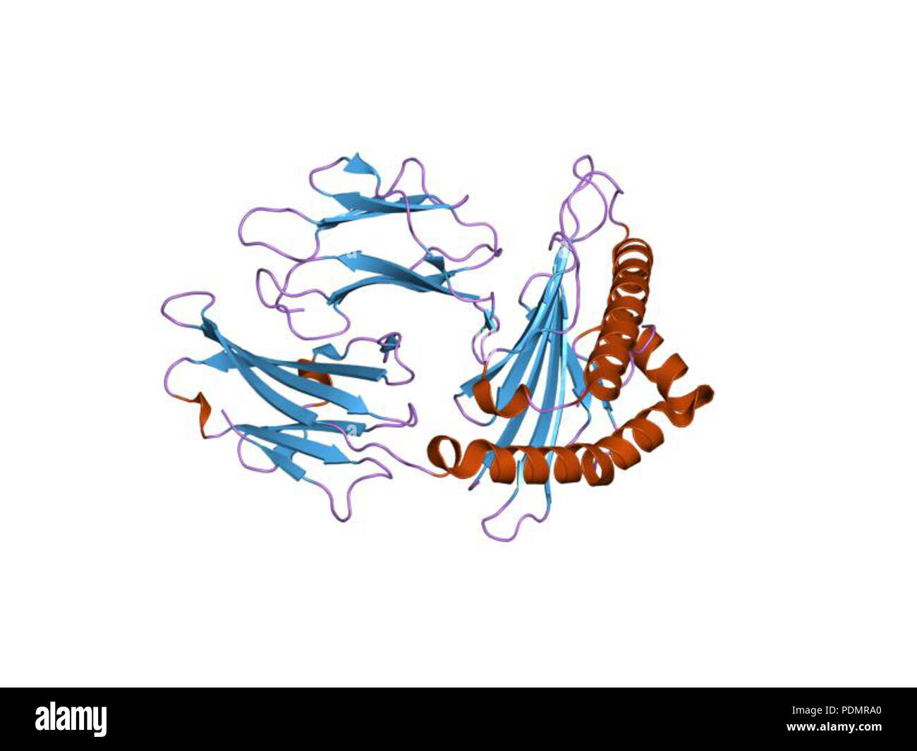 166 PDB 2bvq EBI Foto Stock