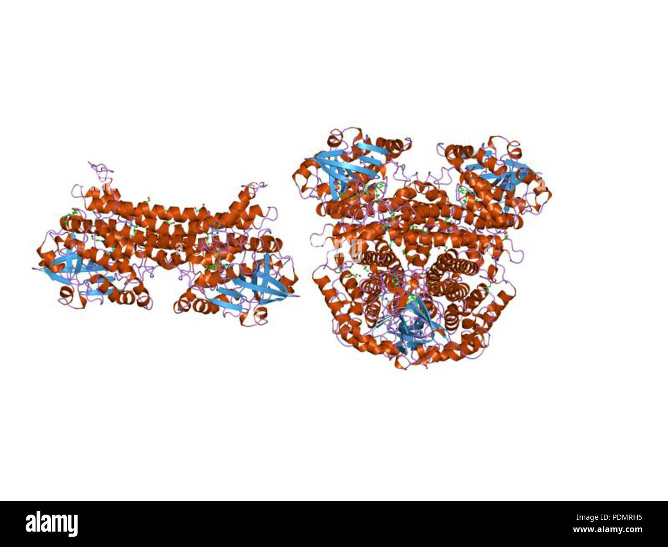 167 PDB 2c12 EBI Foto Stock