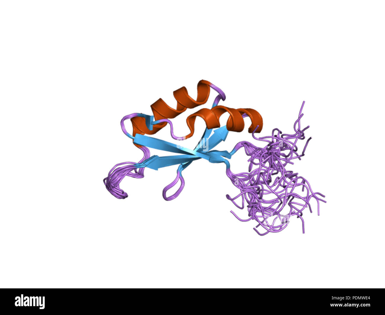 177 PDB 2DNR EBI Foto Stock
