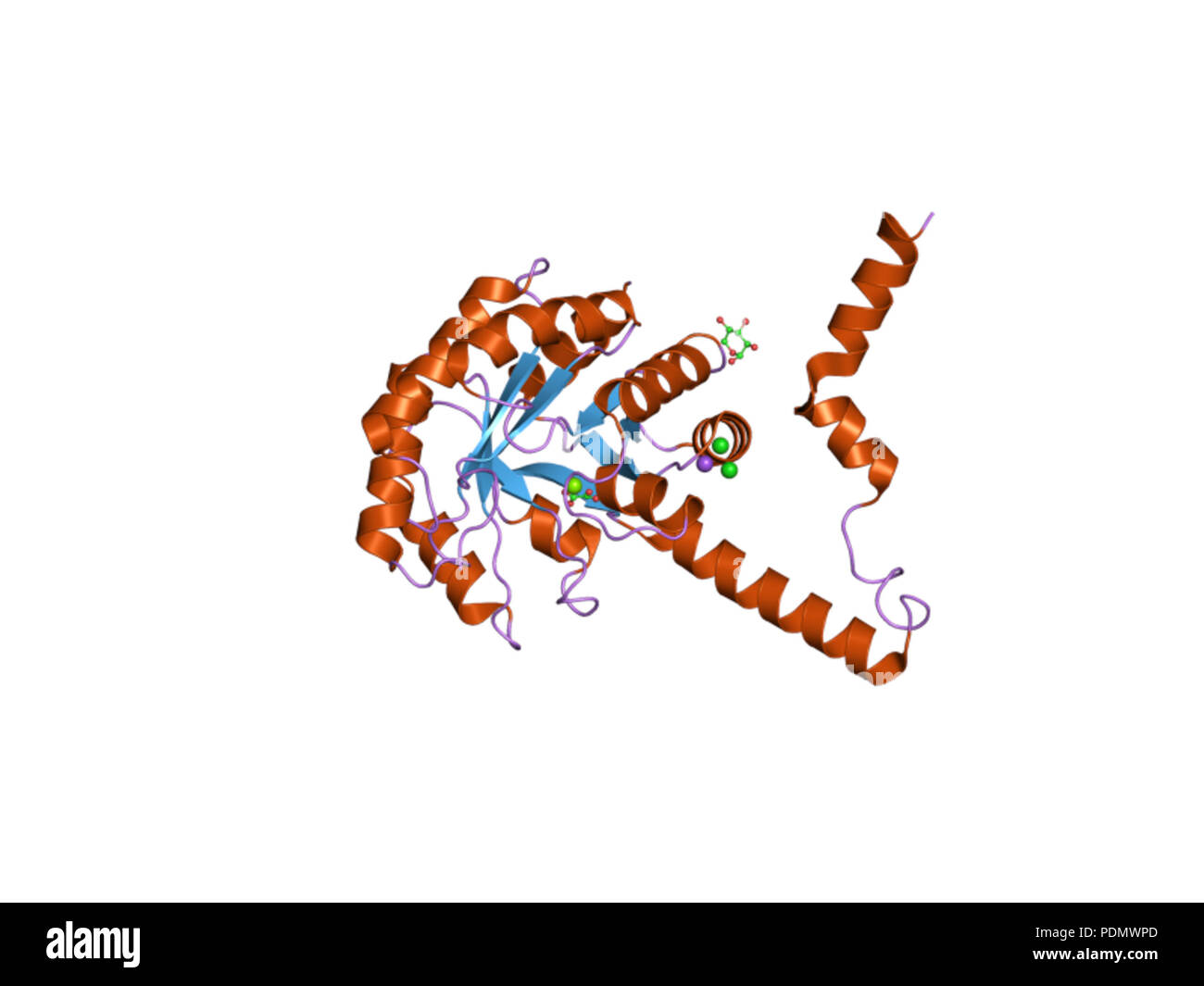 178 PDB 2dua EBI Foto Stock 178 PDB 2dua EBI Foto Stock