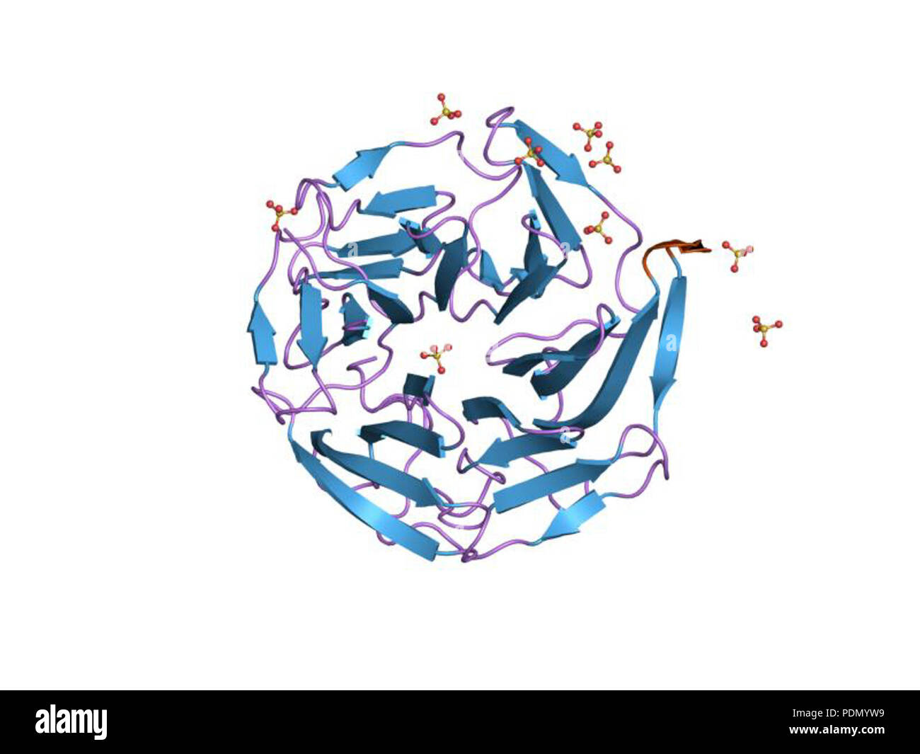 138 PDB 1x2r EBI Foto Stock