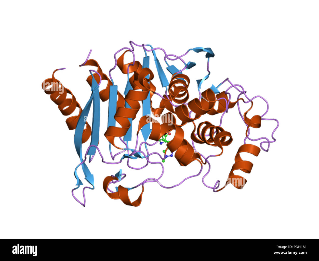 144 PDB 1Y54 EBI Foto Stock