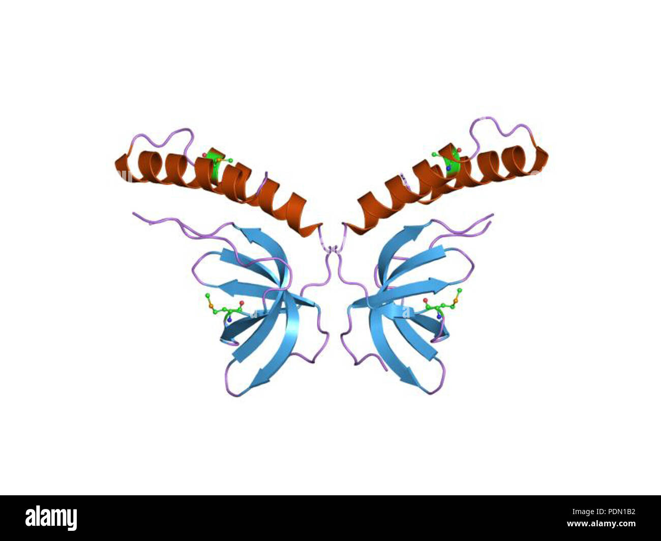 144 PDB 1Y71 EBI Foto Stock