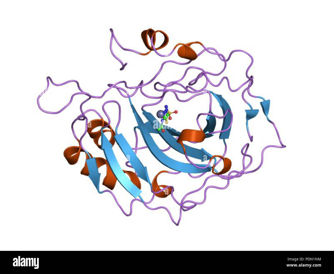 145 PDB 1yda EBI Foto Stock