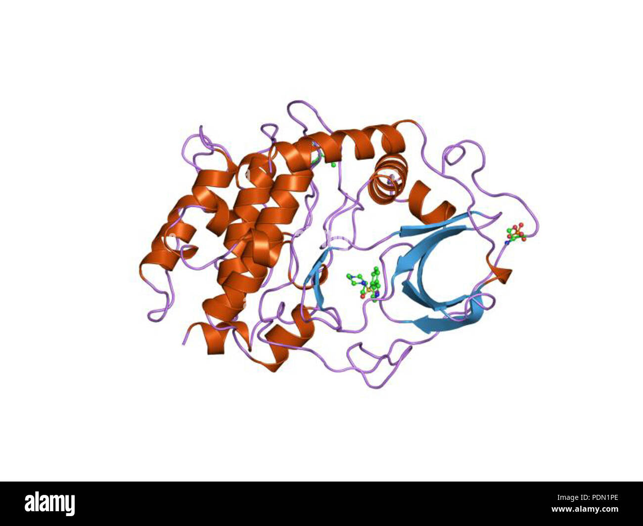 145 PDB 1ydr EBI Foto Stock