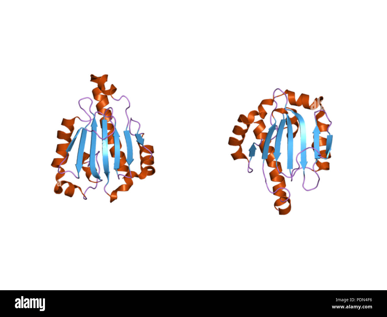 159 PDB 2akp EBI Foto Stock