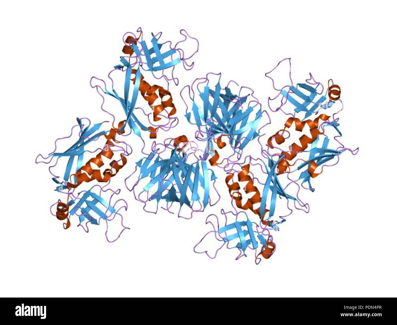 160 PDB 2AQ1 EBI Foto Stock
