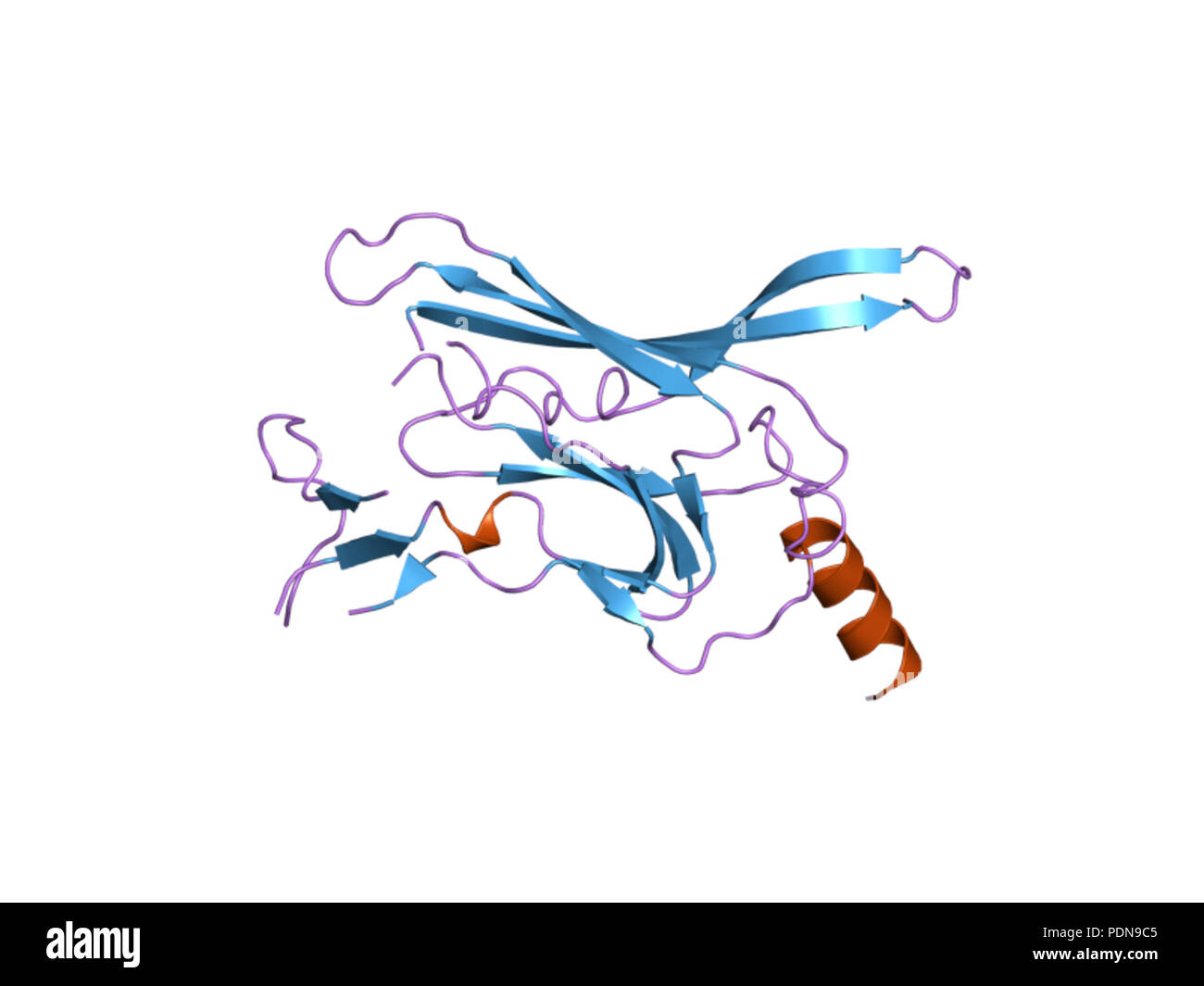 179 PDB 2e4f EBI Foto Stock