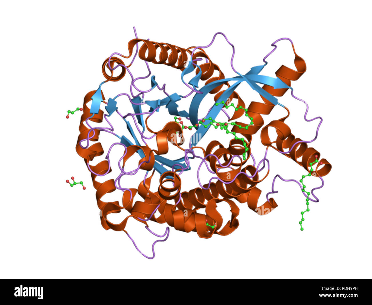 180 PDB 2e9l EBI Foto Stock