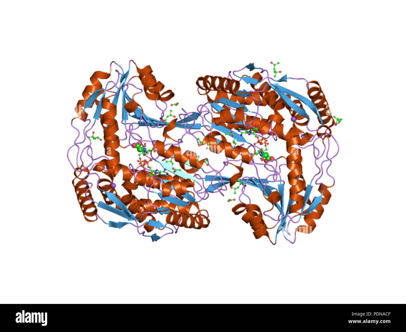 182 PDB 2IET EBI Foto Stock