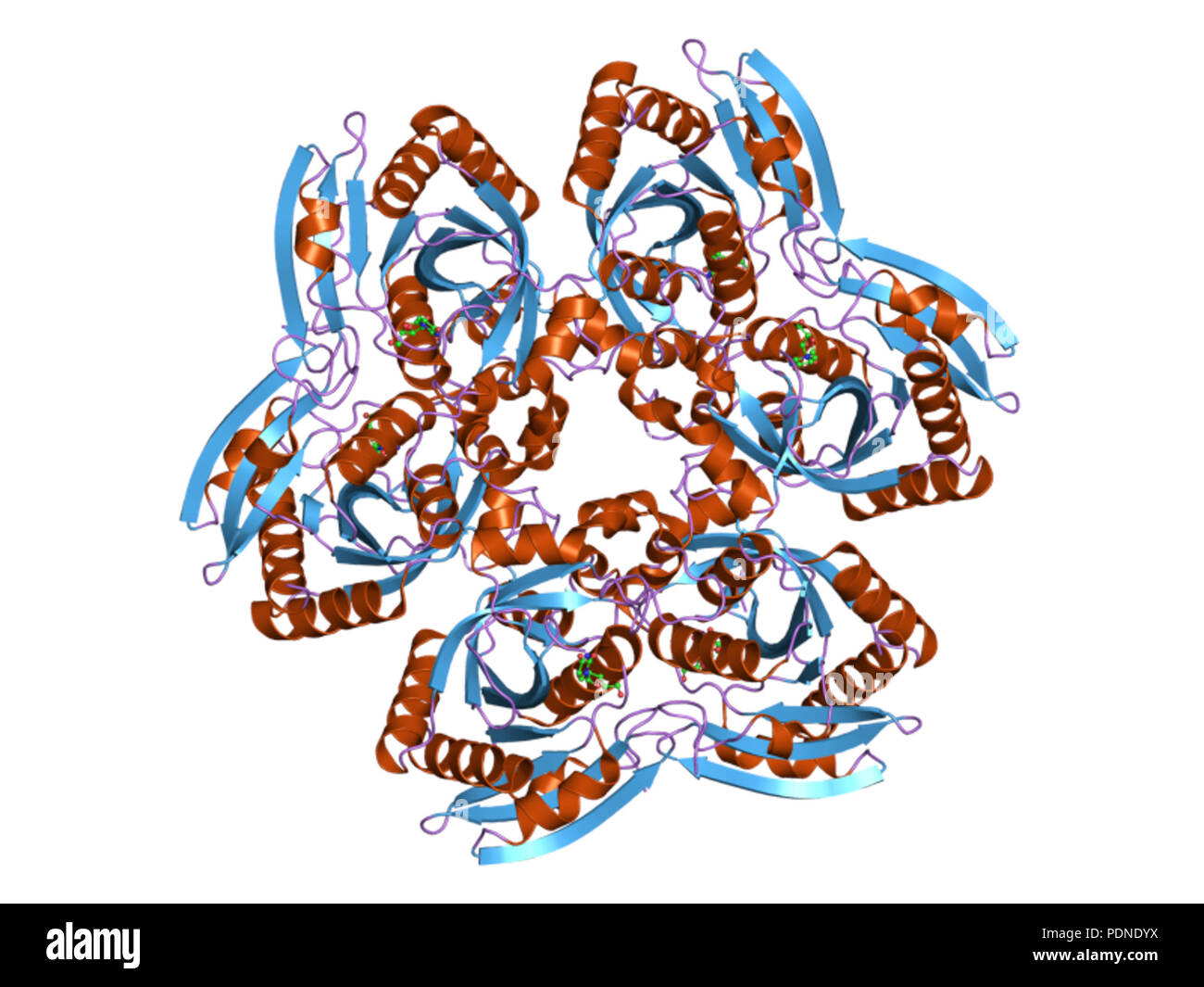 201 PDB 2hwu EBI Foto Stock