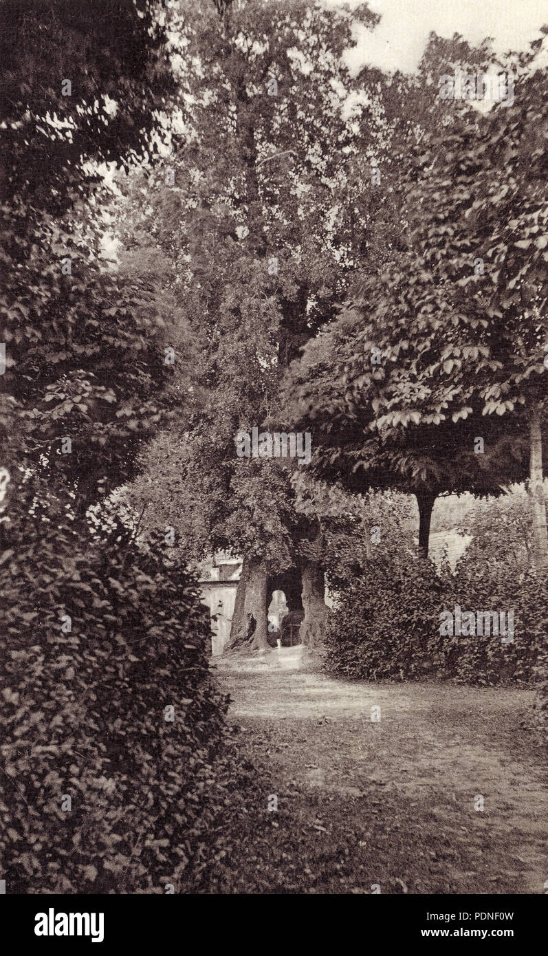 170 Jiřice, lípa Jana Želivského, 1920-1930 Foto Stock