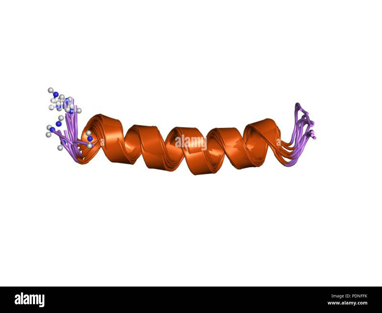 215 PDB 2mag EBI Foto Stock