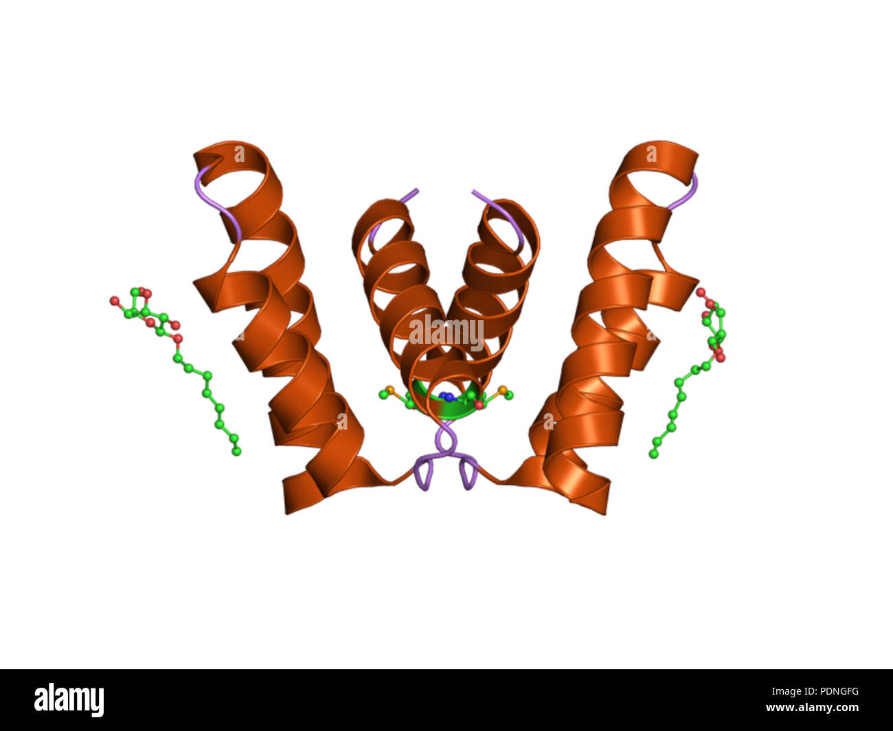 224 PDB 2oxl EBI Foto Stock