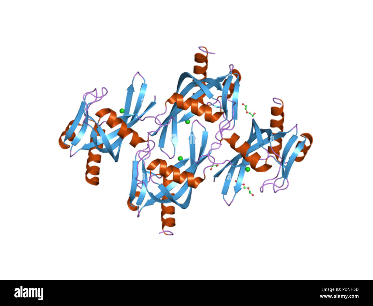 226 PDB 2pbt EBI Foto Stock