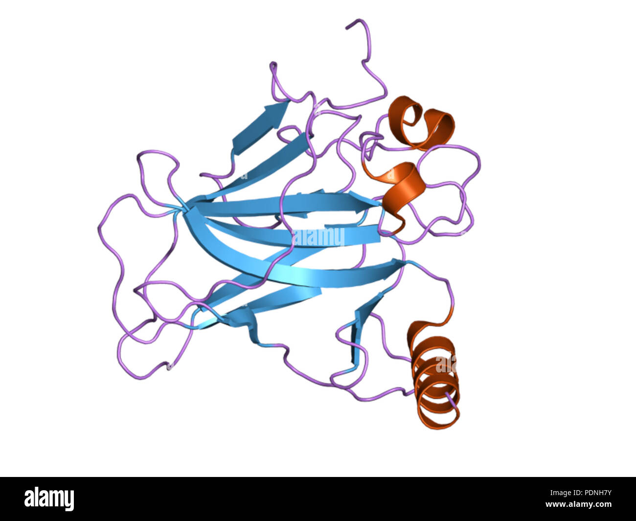 226 PDB 2pcx EBI Foto Stock