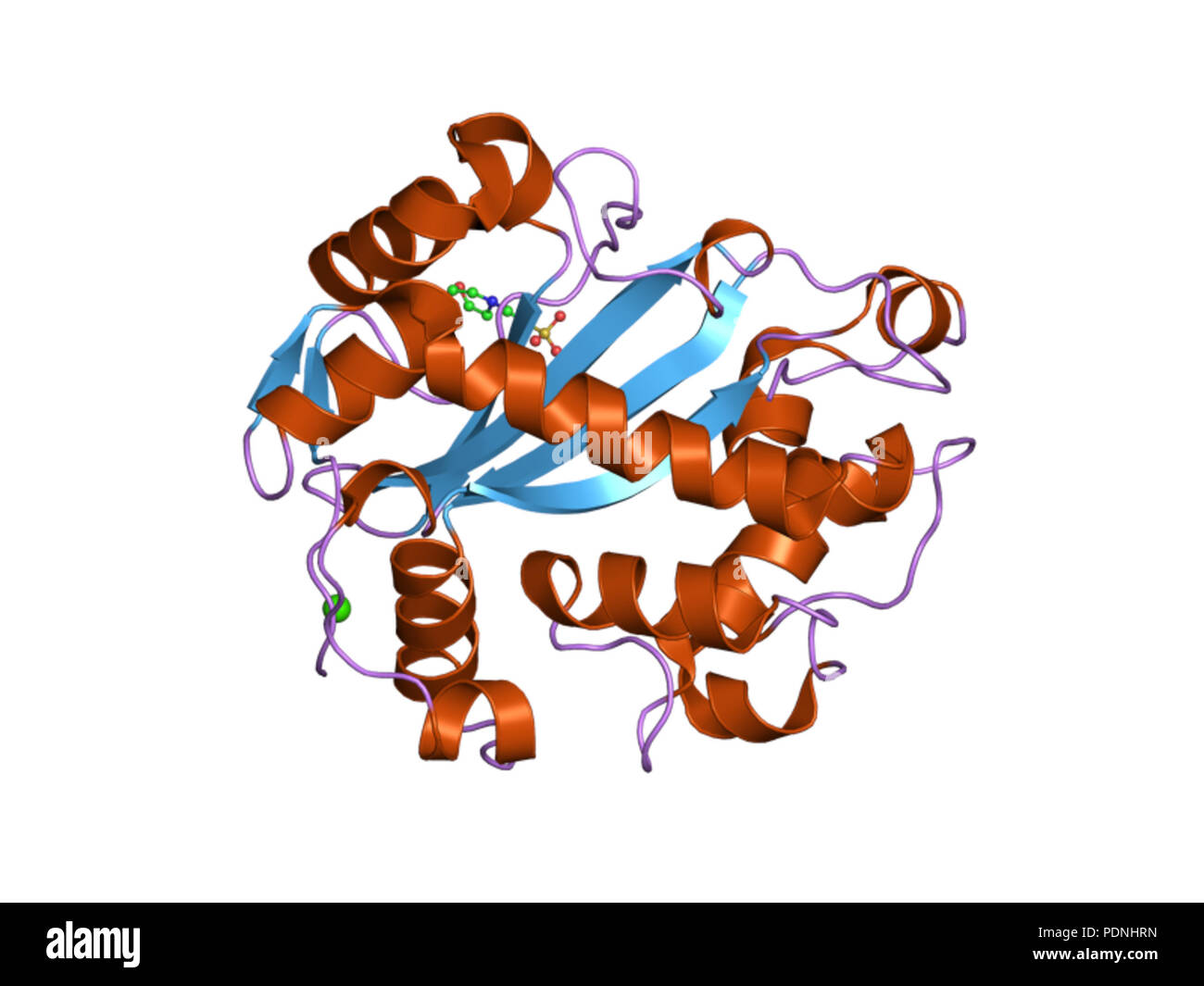 228 PDB 2pqy EBI Foto Stock