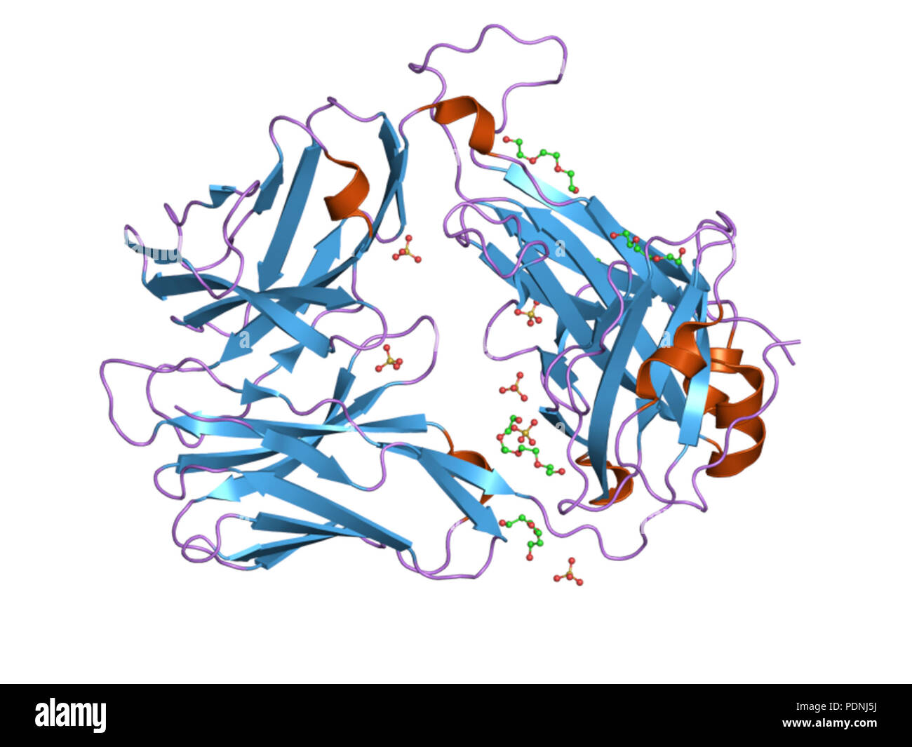 230 PDB 2pyf EBI Foto Stock