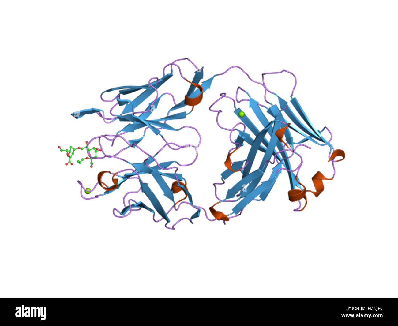 236 PDB 2r1x EBI Foto Stock