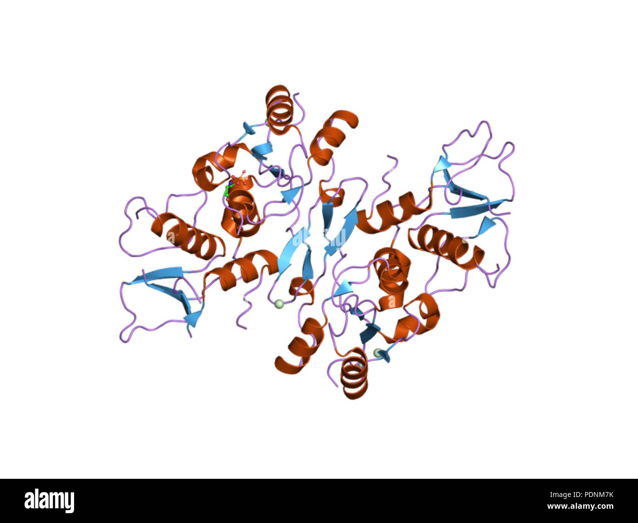 248 PDB 2vxc EBI Foto Stock