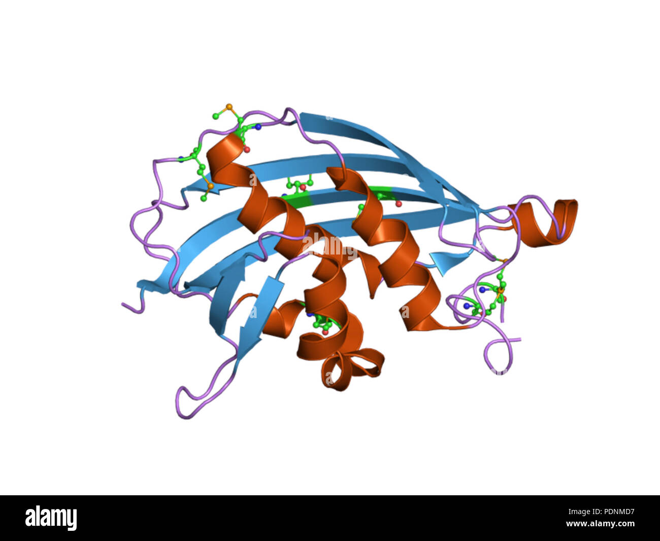 248 PDB 2w2r EBI Foto Stock