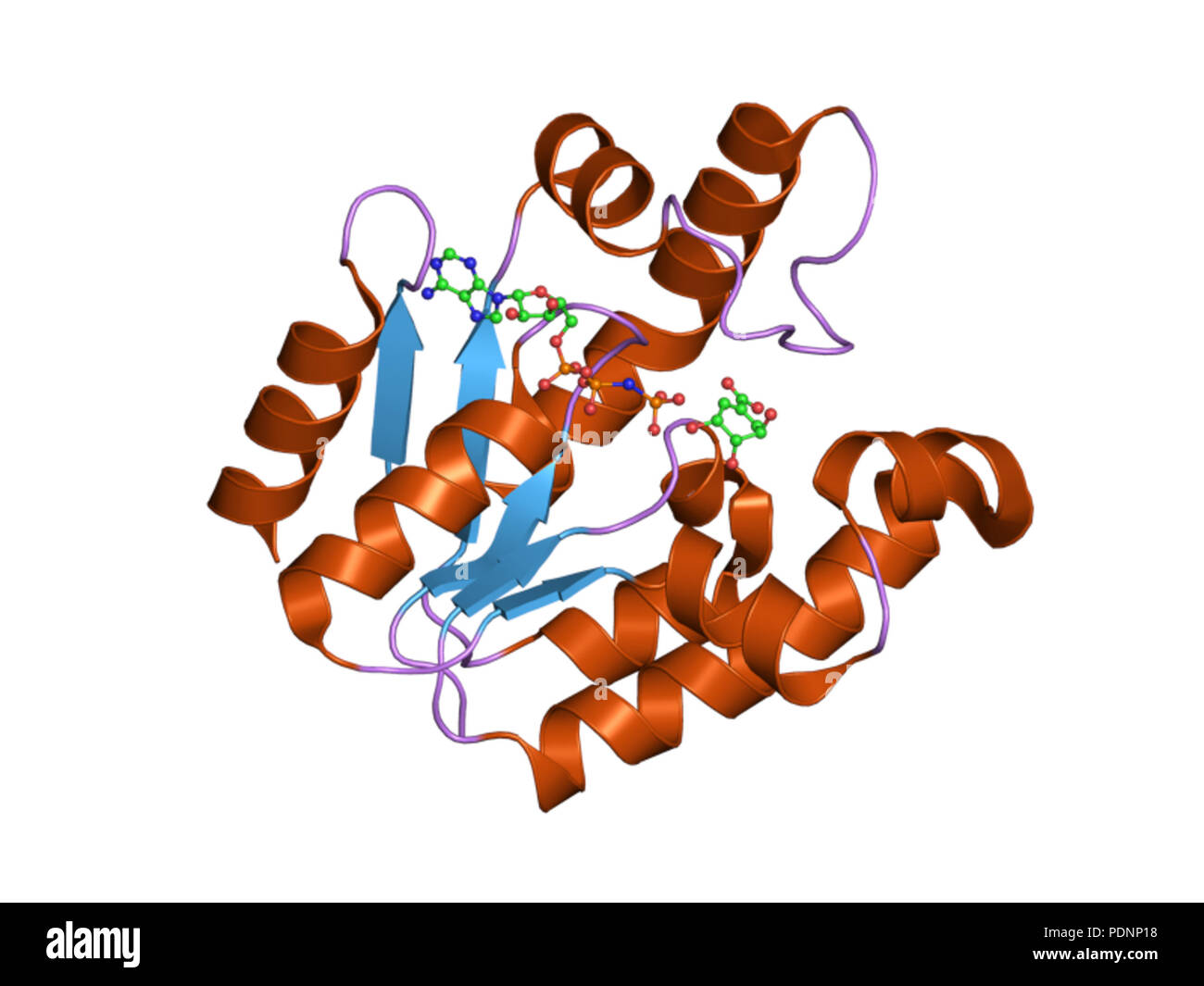 258 PDB 3baf EBI Foto Stock