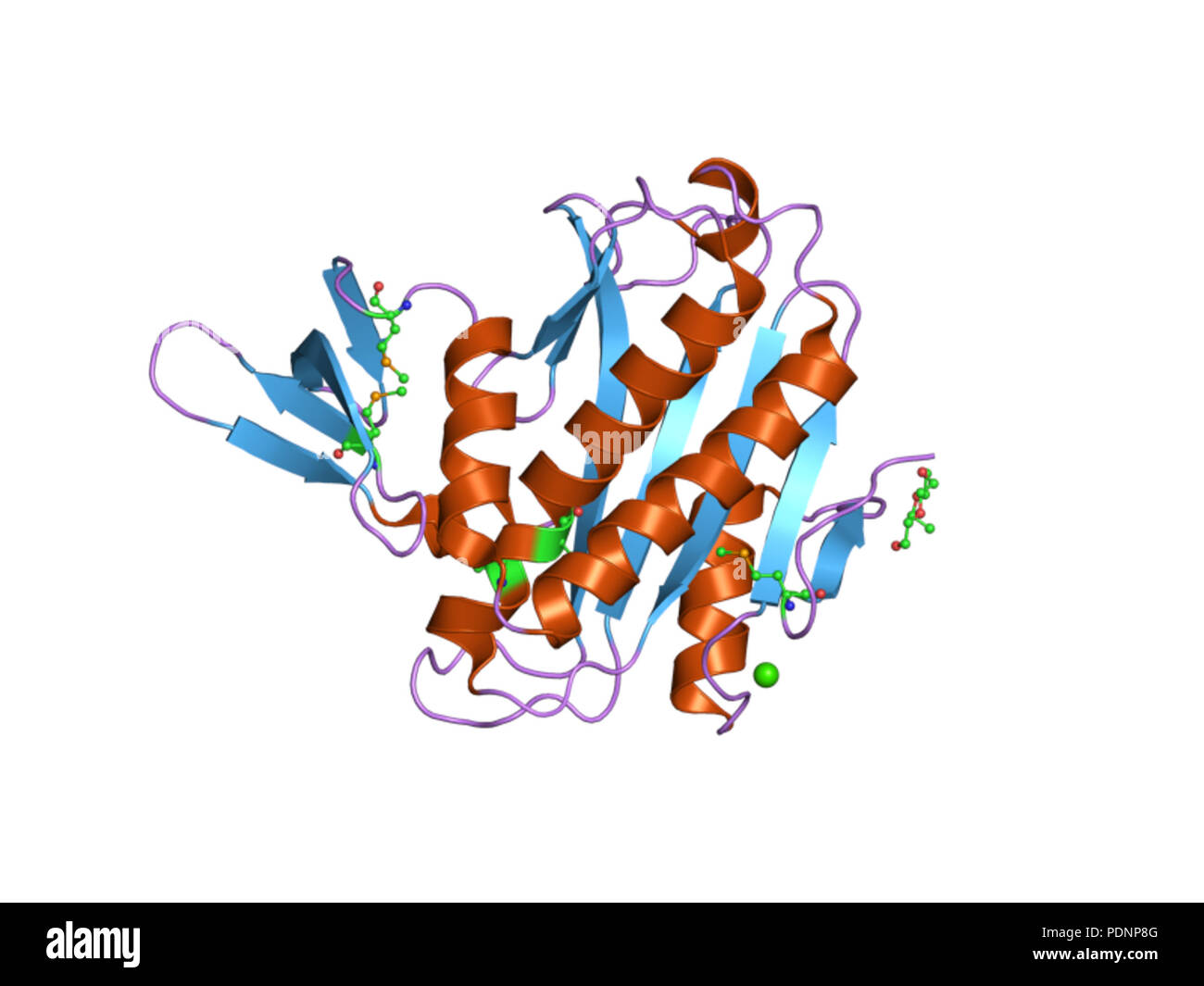 259 PDB 3bfm EBI Foto Stock