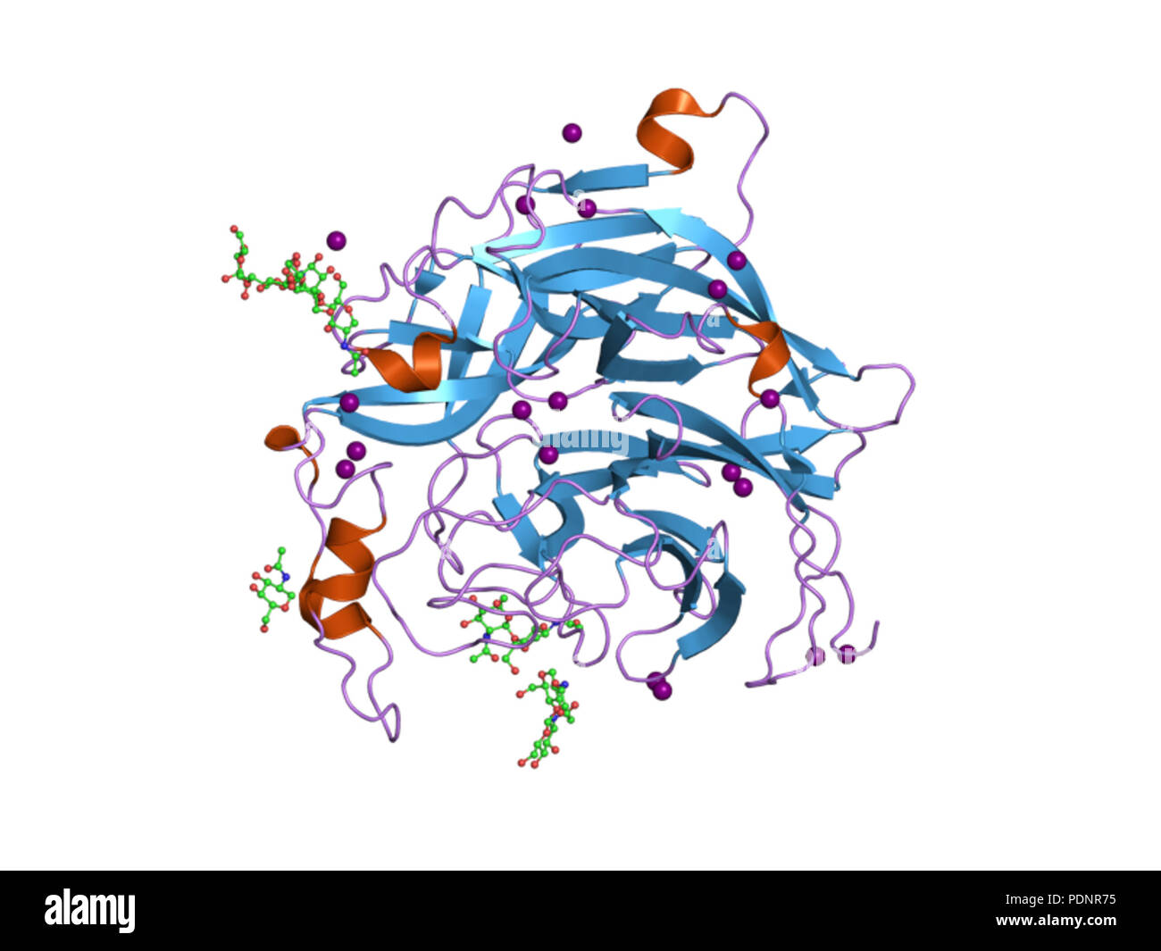 269 PDB 3d11 EBI Foto Stock
