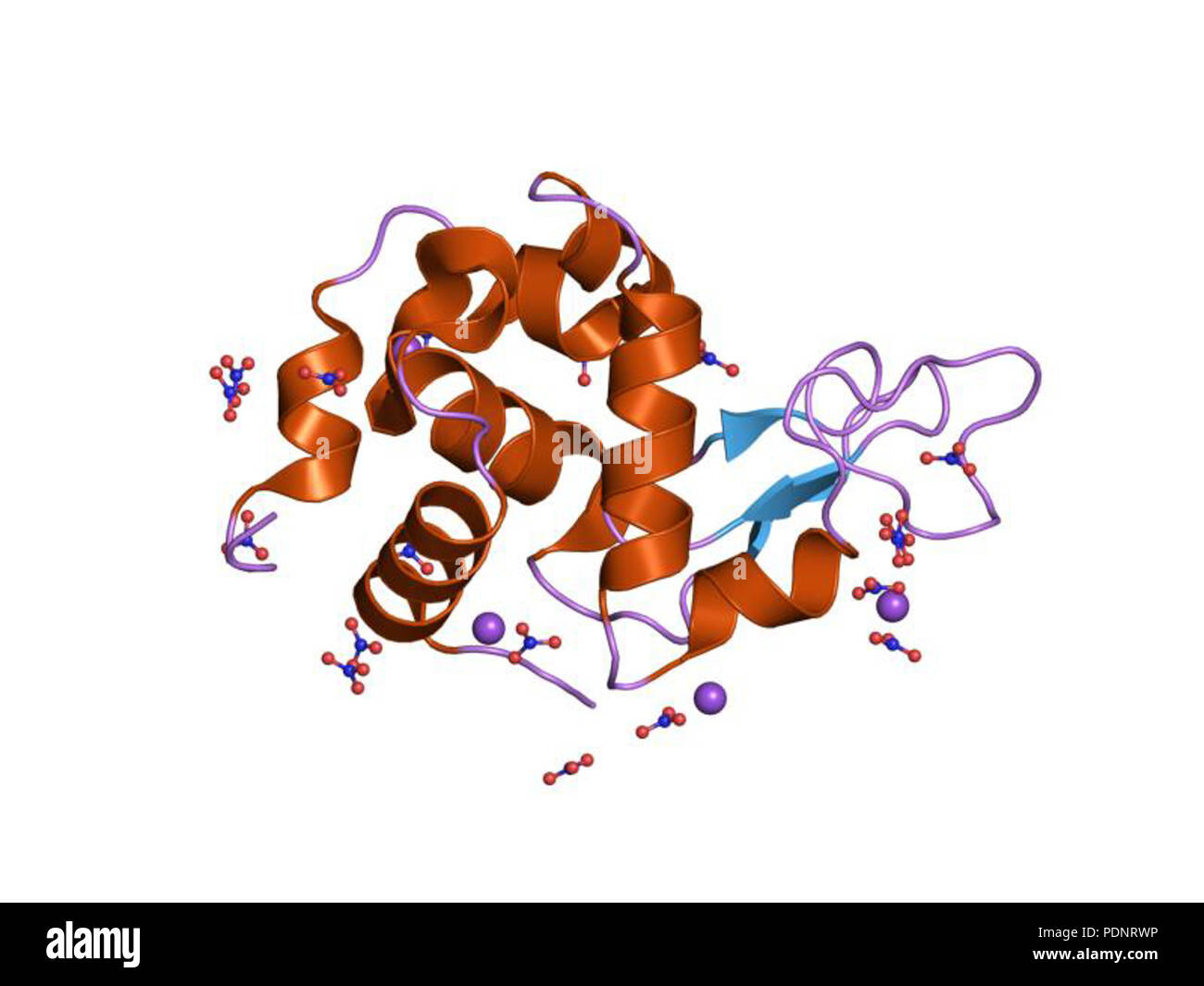 187 PDB 2fbb EBI Foto Stock