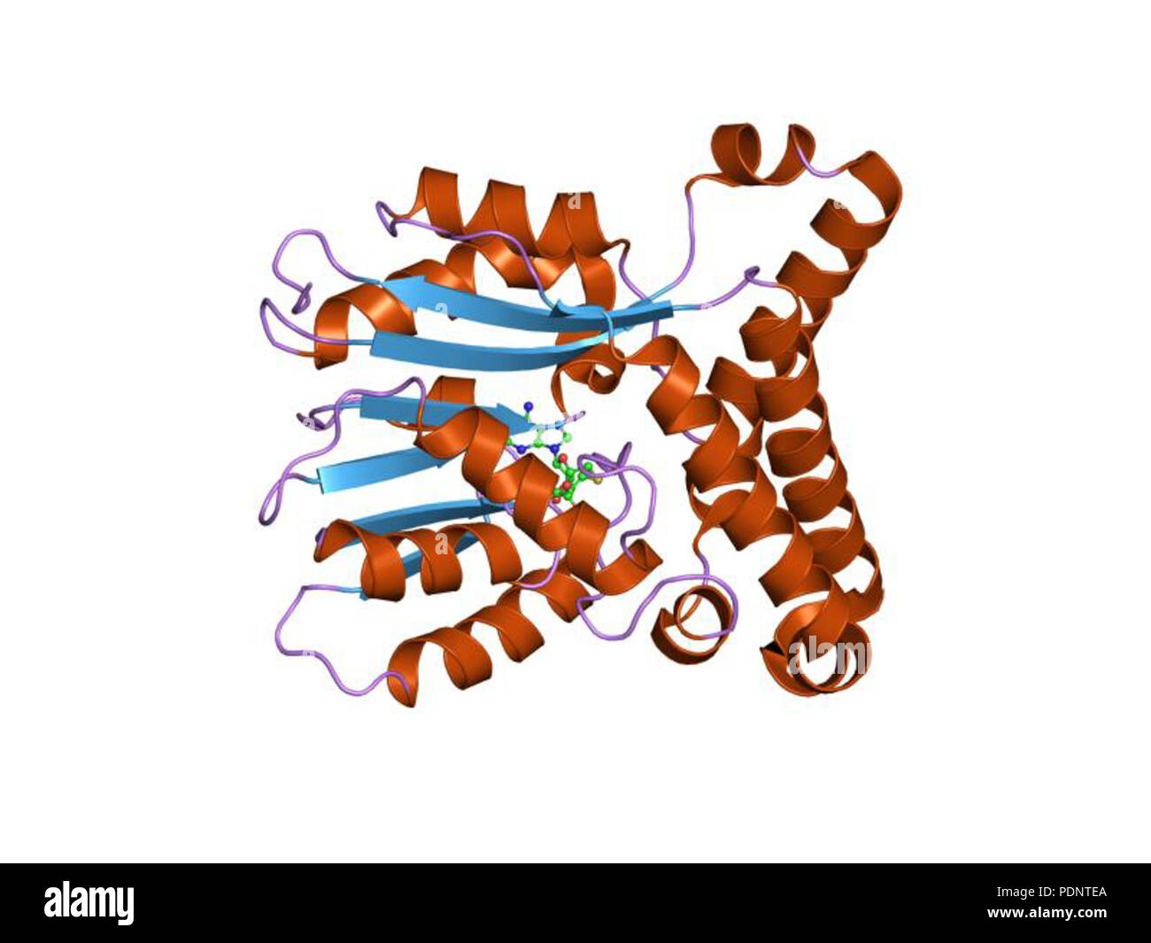188 PDB 2FK8 EBI Foto Stock