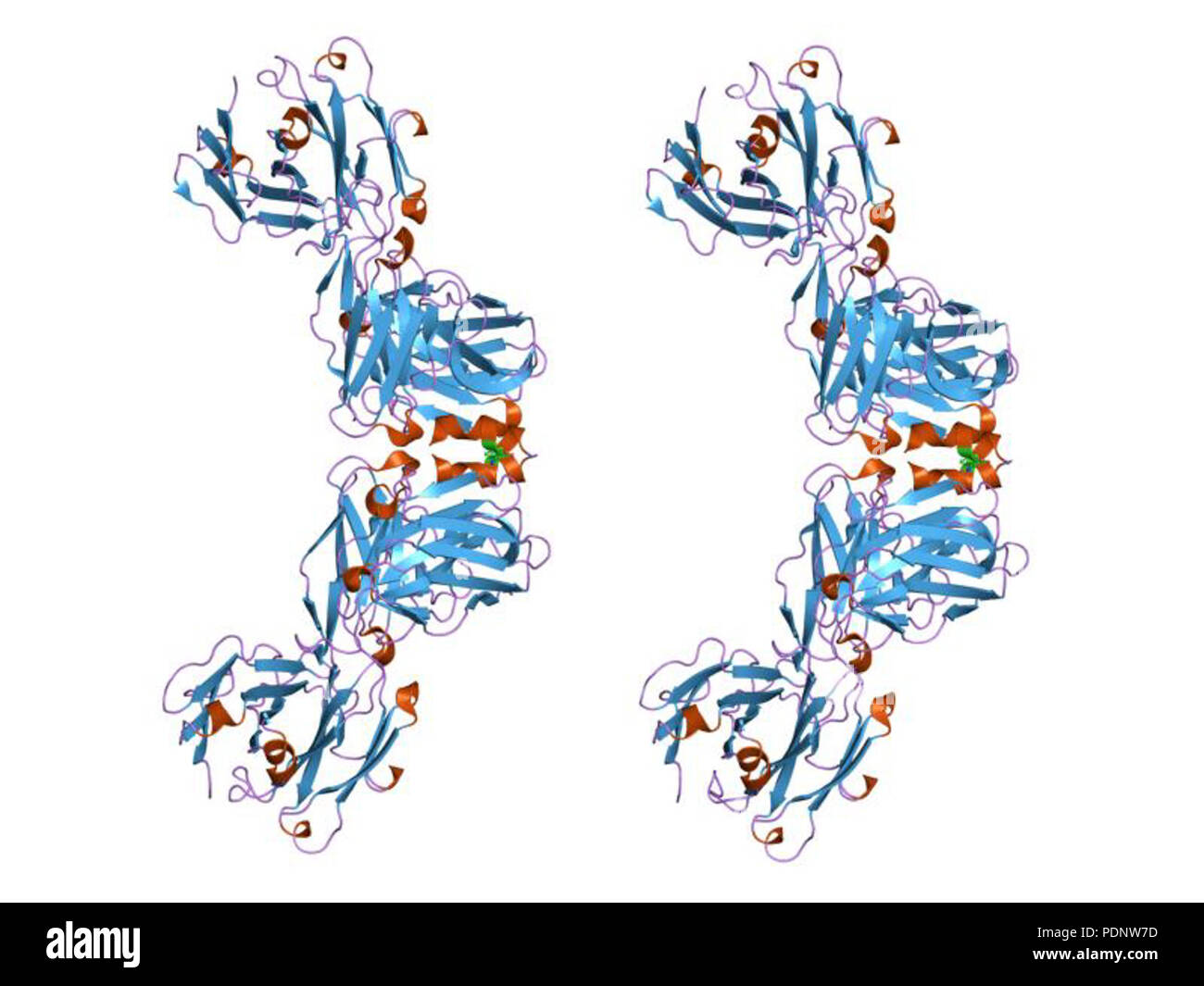 190 PDB 2fx8 EBI Foto Stock