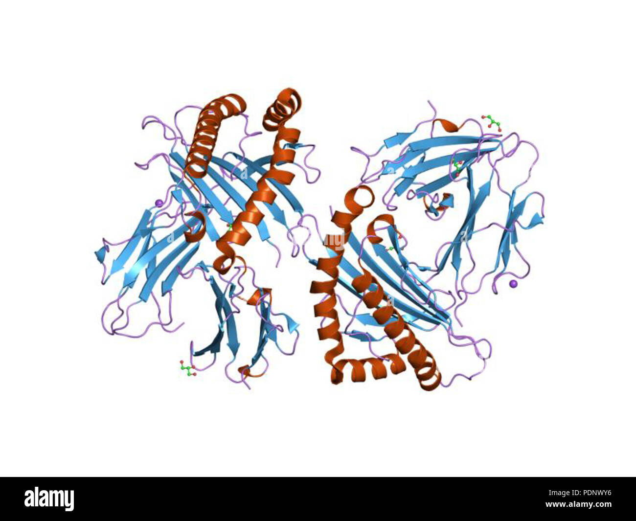 195 PDB 2gt9 EBI Foto Stock