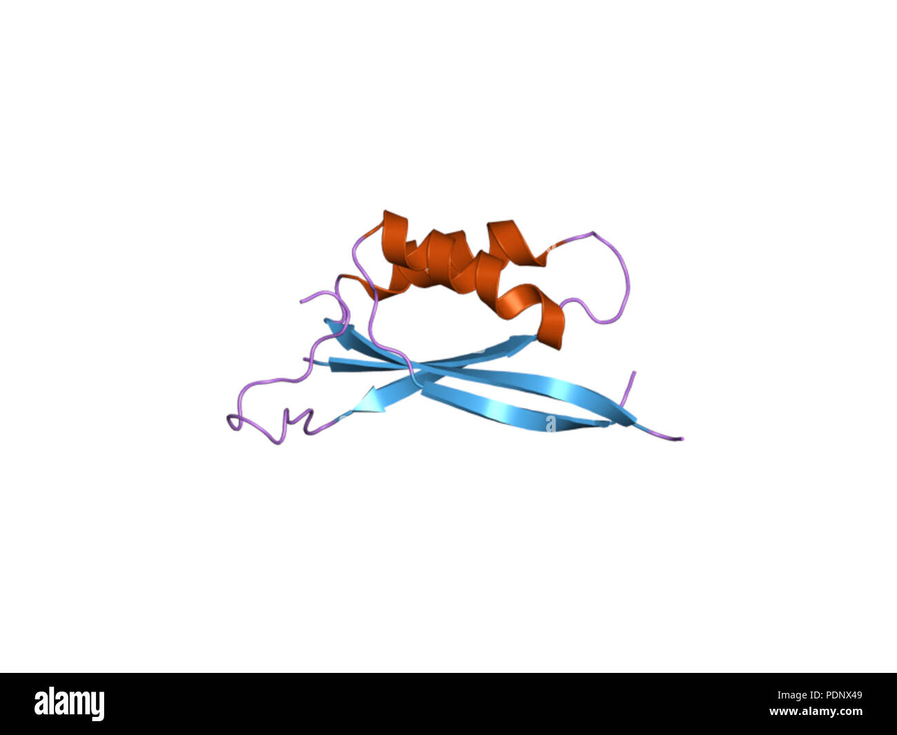 196 PDB 2GW8 EBI Foto Stock