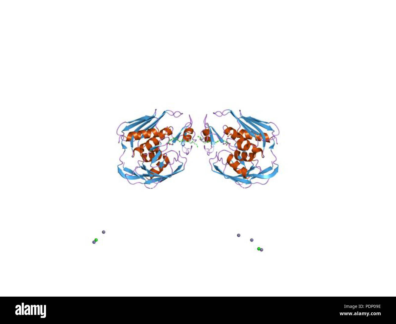 204 PDB 2ies EBI Foto Stock
