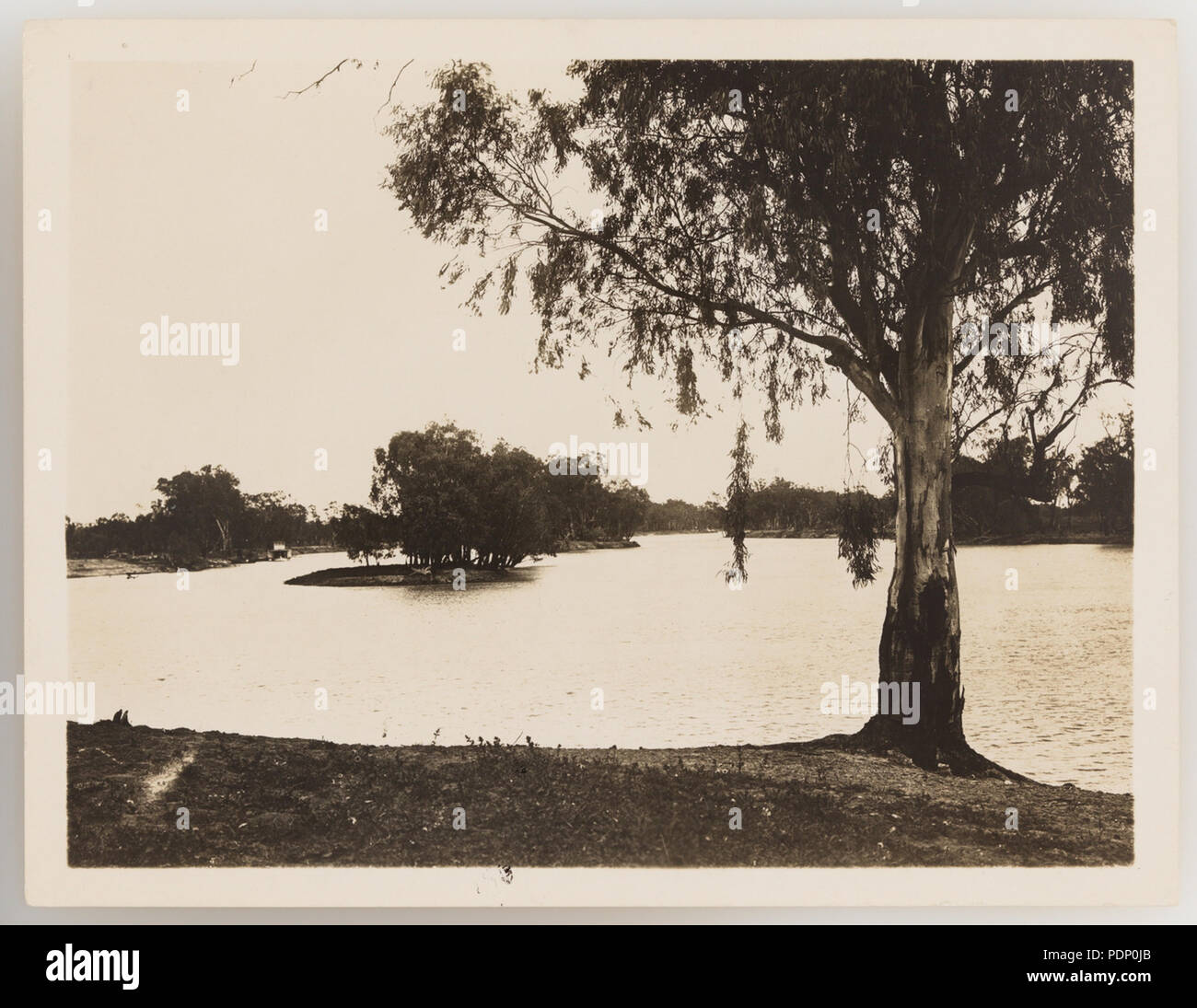 193 920832 SLNSW Serie 17 rurale e bush scenario ca 19211923 Foto Stock