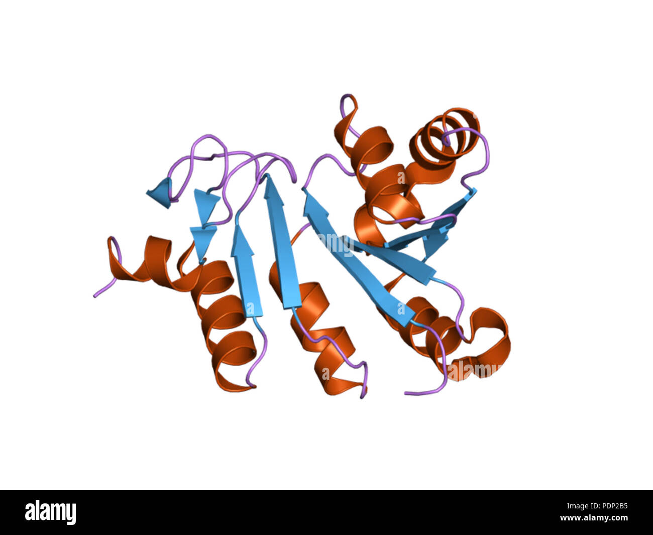 213 PDB 2jzh EBI Foto Stock