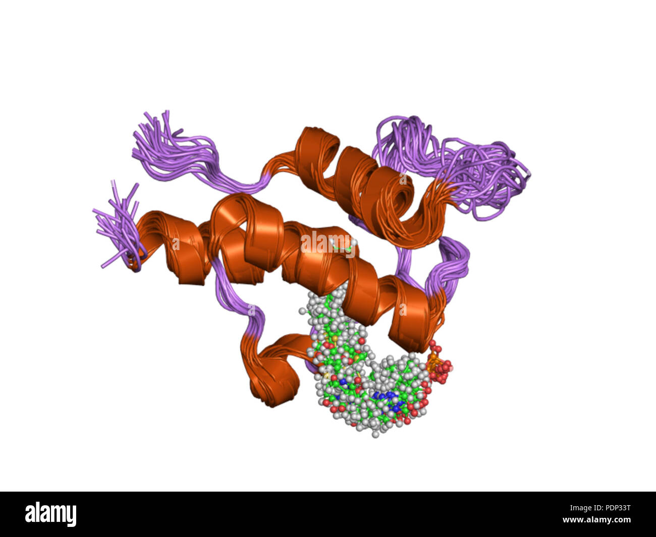 215 PDB 2kgc EBI Foto Stock