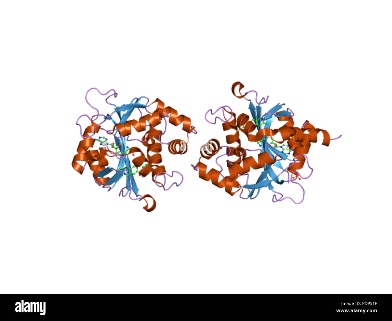 222 PDB 2opb EBI Foto Stock