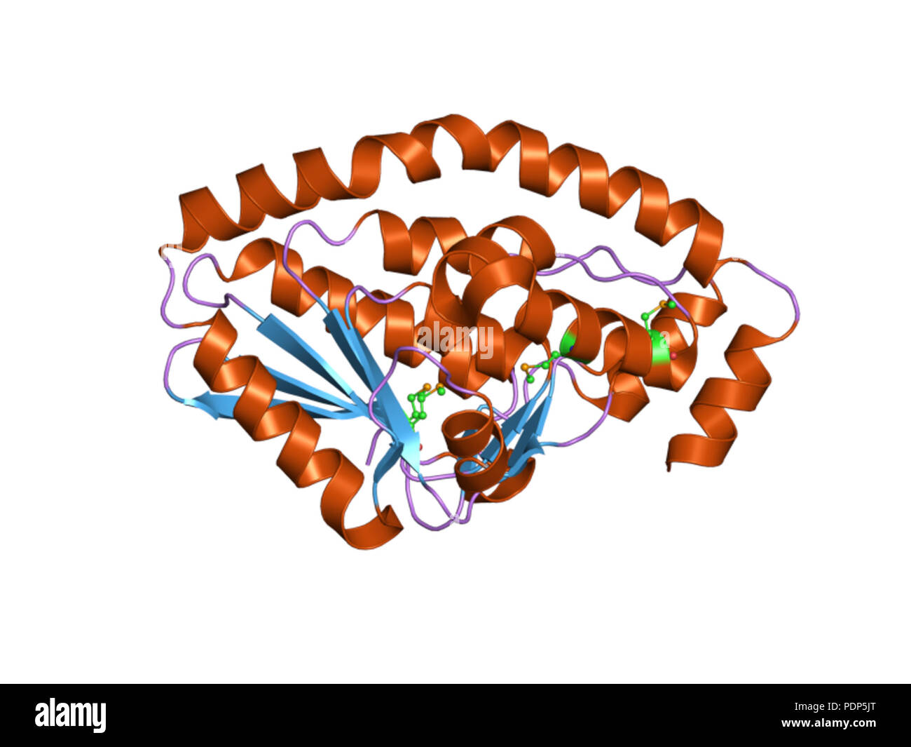 231 PDB 2q34 EBI Foto Stock