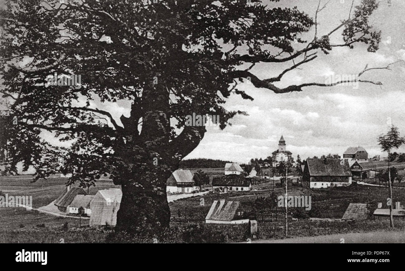 156 Hraniční buk - Cínovec, cca 1920-1930 Foto Stock