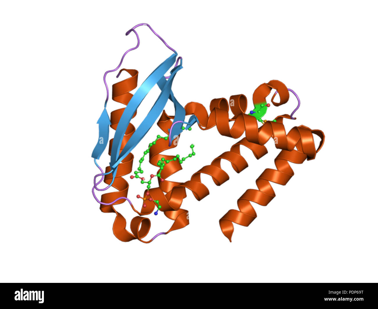 233 PDB 2qgu EBI Foto Stock