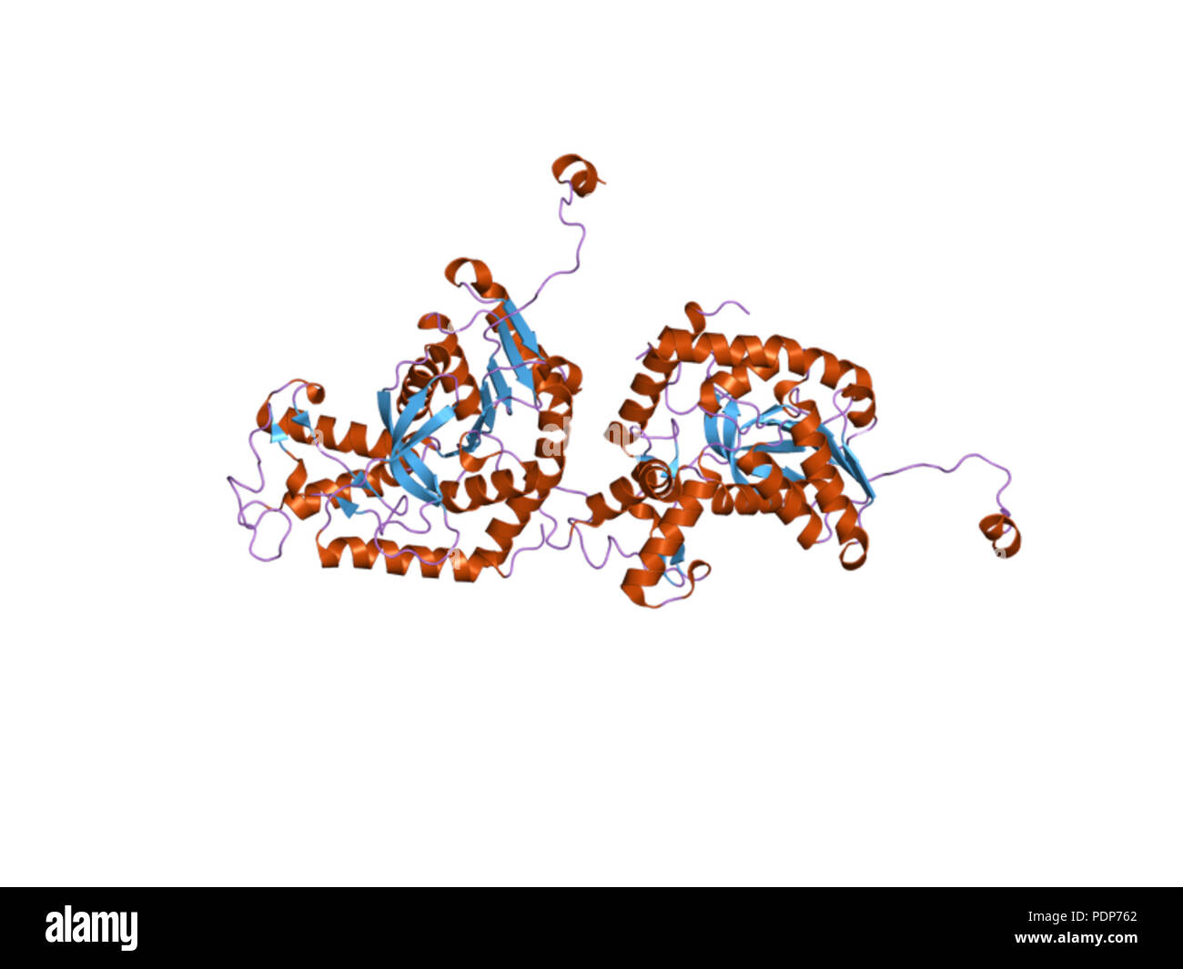 243 PDB 2v65 EBI Foto Stock