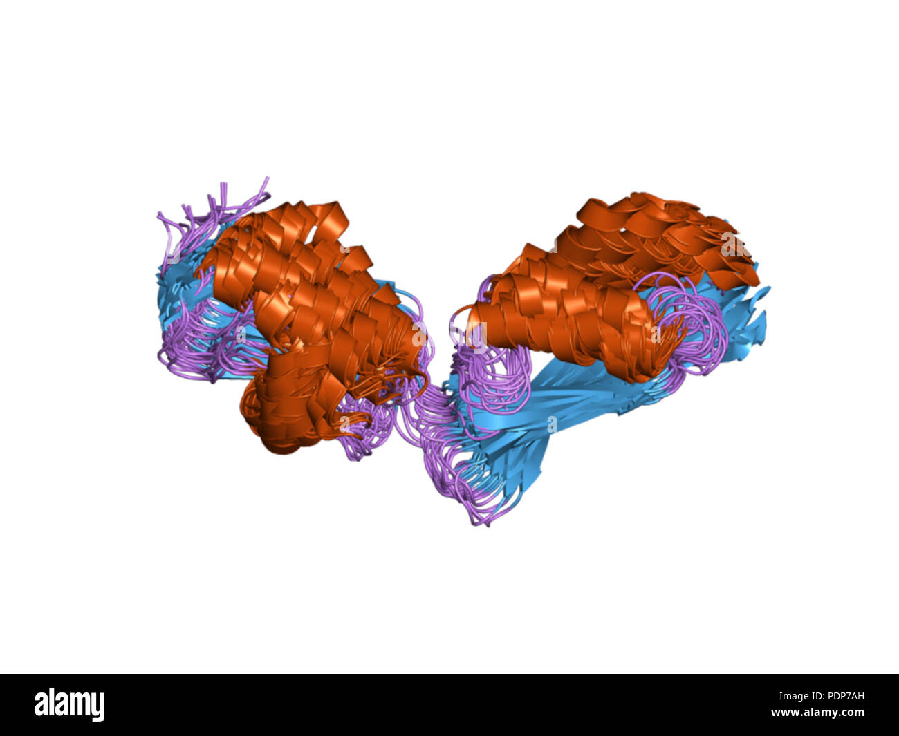 244 PDB 2v9h EBI Foto Stock