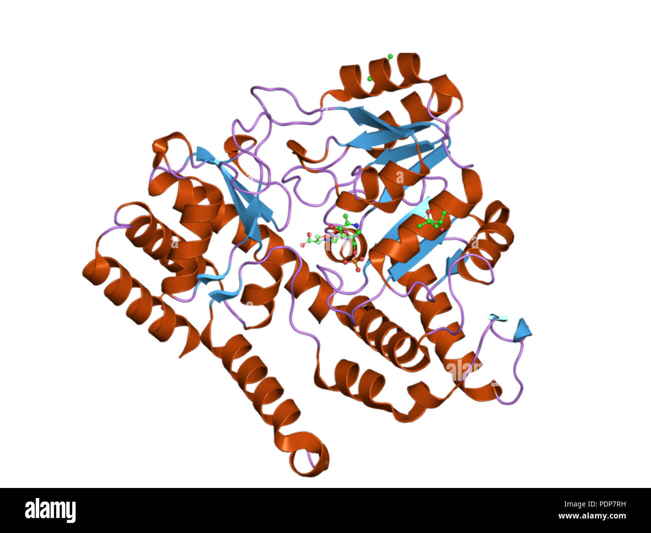 245 PDB 2via EBI Foto Stock