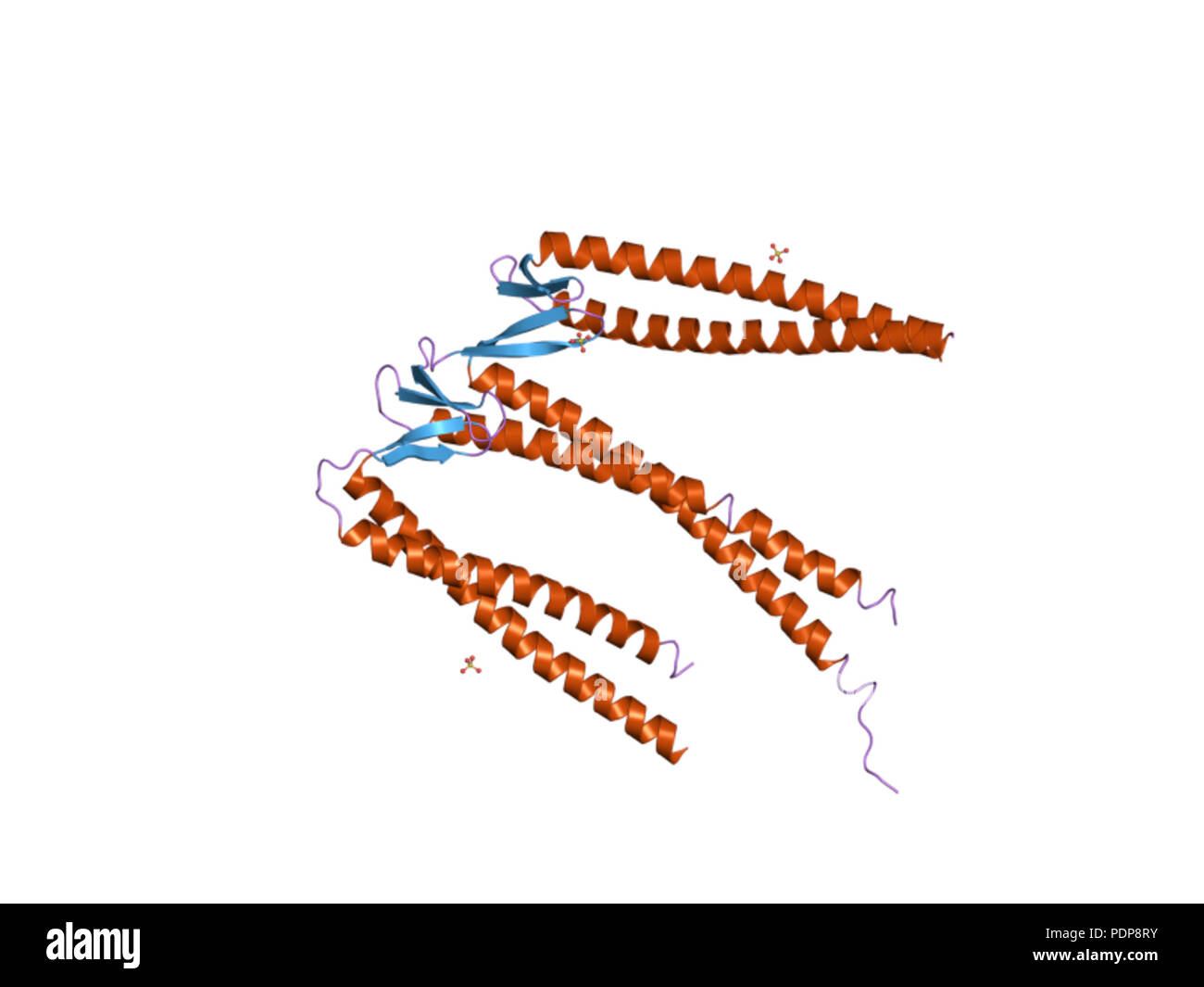 254 PDB 2zdi EBI Foto Stock