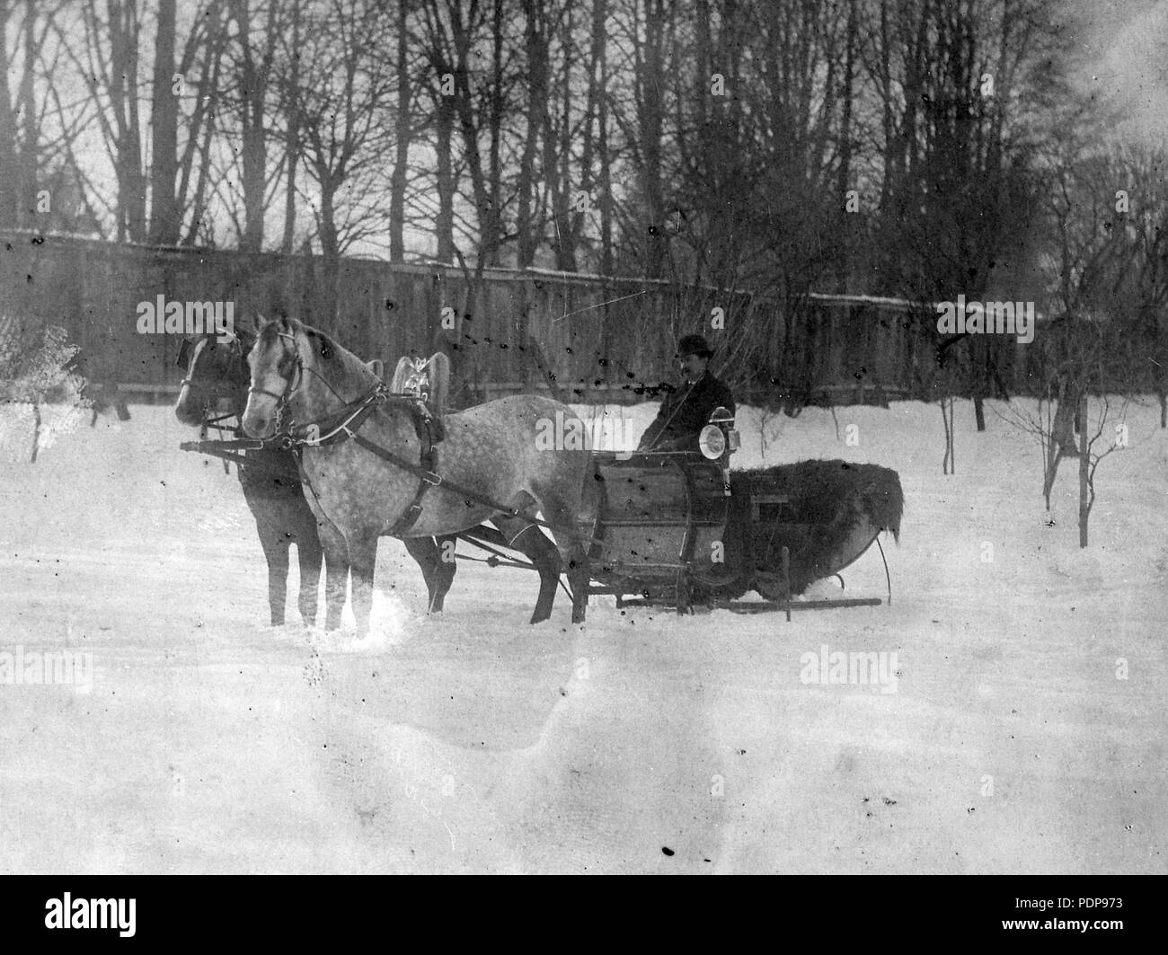 156 Cavallo inverno, pullman, neve, sleigh Fortepan 14342 Foto Stock