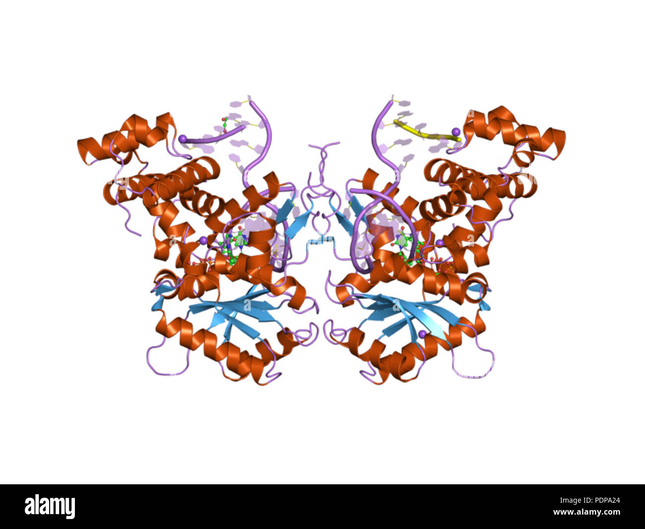 264 PDB 3c5g EBI Foto Stock