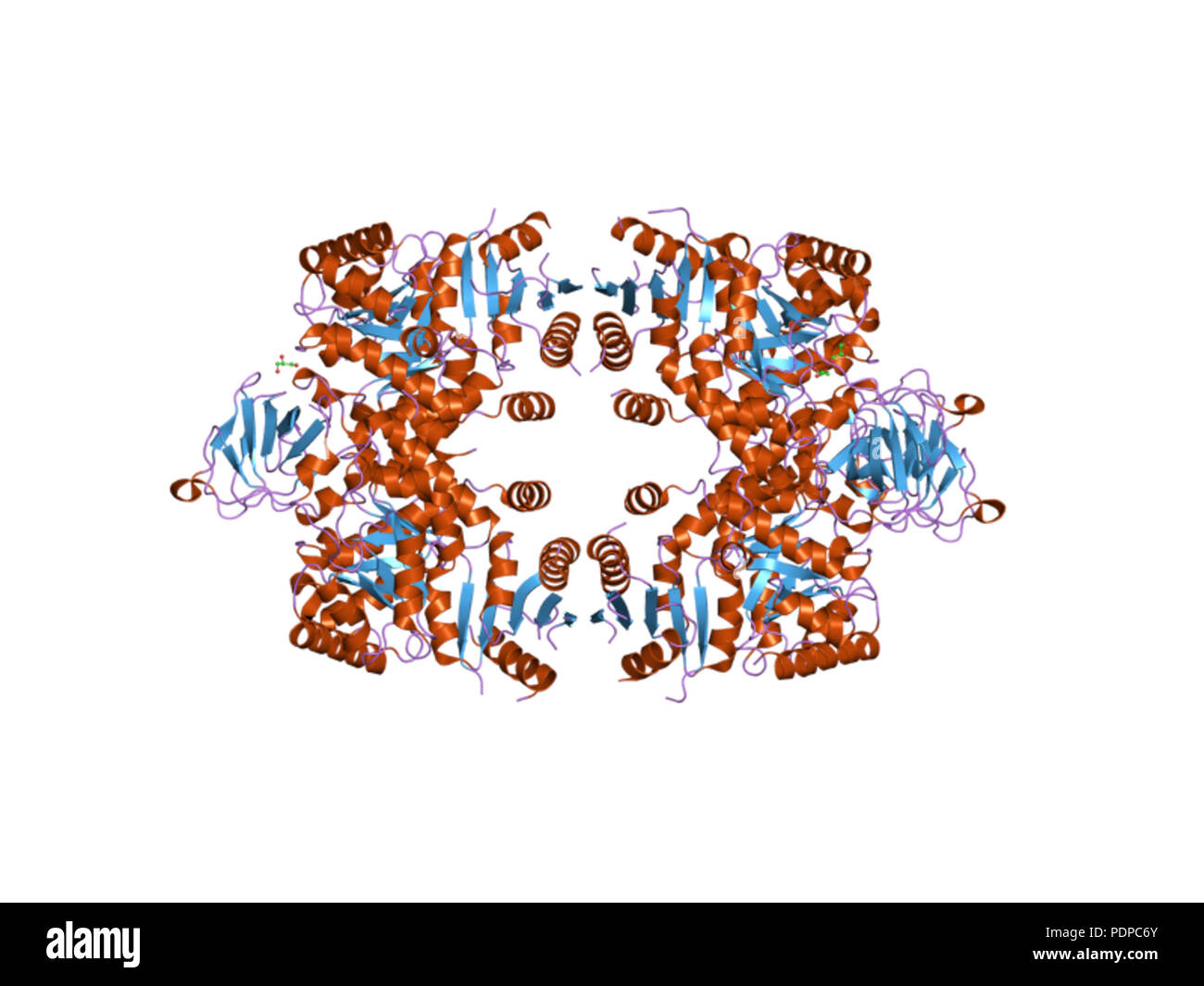 277 PDB 3eoe EBI Foto Stock