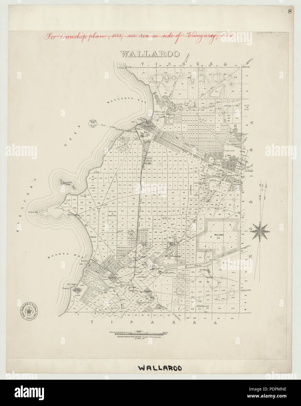 66 centinaia di Wallaroo, 1895 (23488665860) Foto Stock
