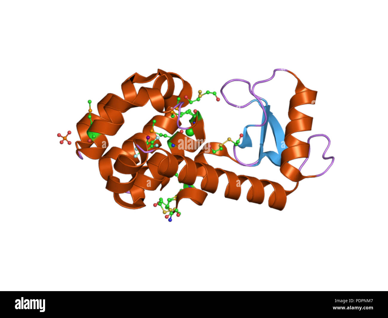 272 PDB 3dn8 EBI Foto Stock